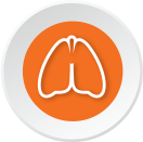 graphic of healthy lungs